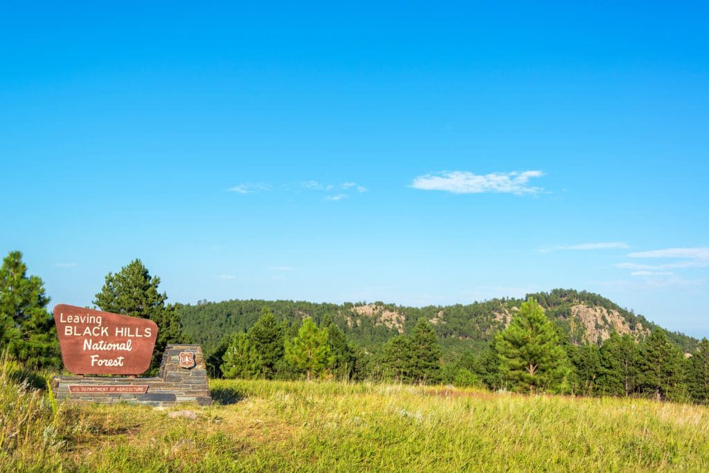 View of Black Hills National Forest near Custer, South Dakota